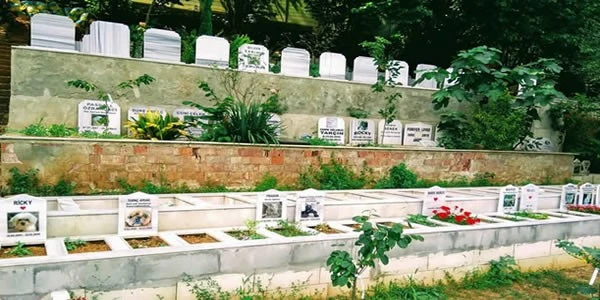 hayvan mezarlığı