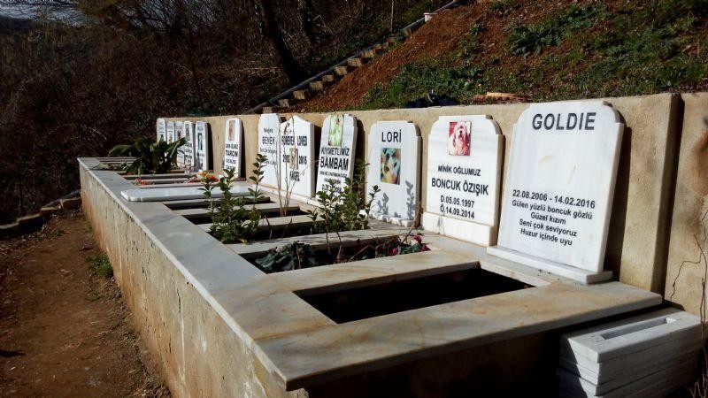 evcil hayvan mezarlığı