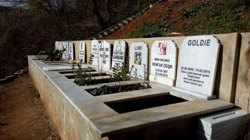 evcil hayvan mezarlığı
