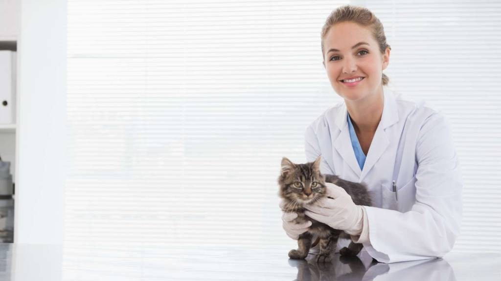 veteriner kliniği açmak