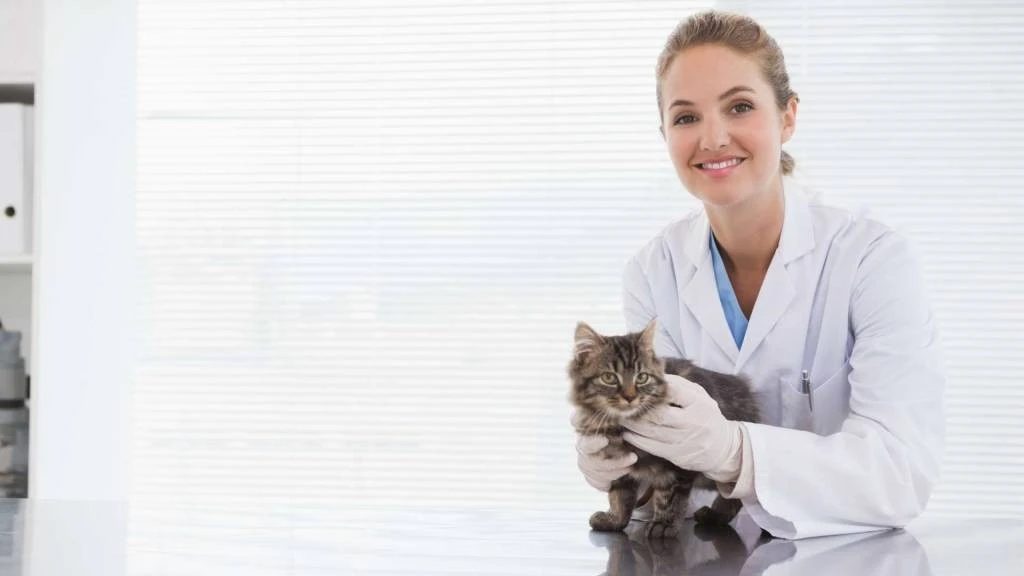 veteriner kliniği açmak