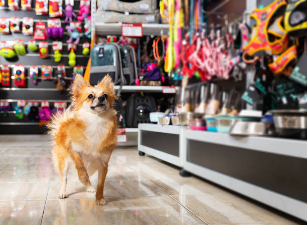 petshop nedir