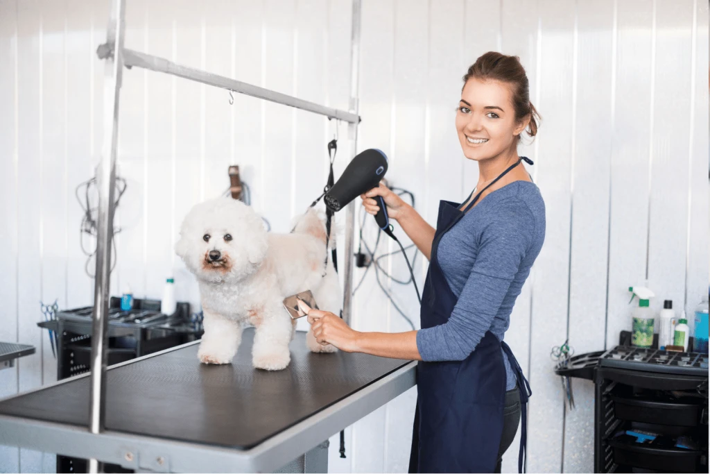 Pet kuaför malzemeleri nelerdir?