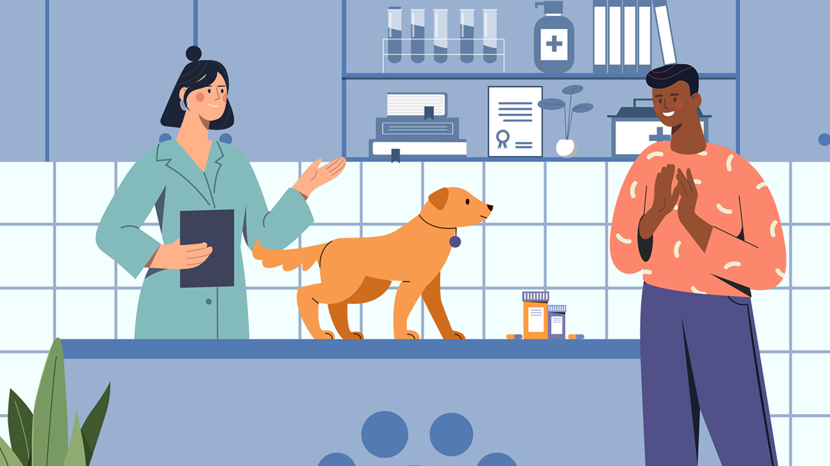 veteriner klinik hizmetleri, evcil hayvan sağlık, veteriner muayene, köpek ve kedi bakımı, hayvan