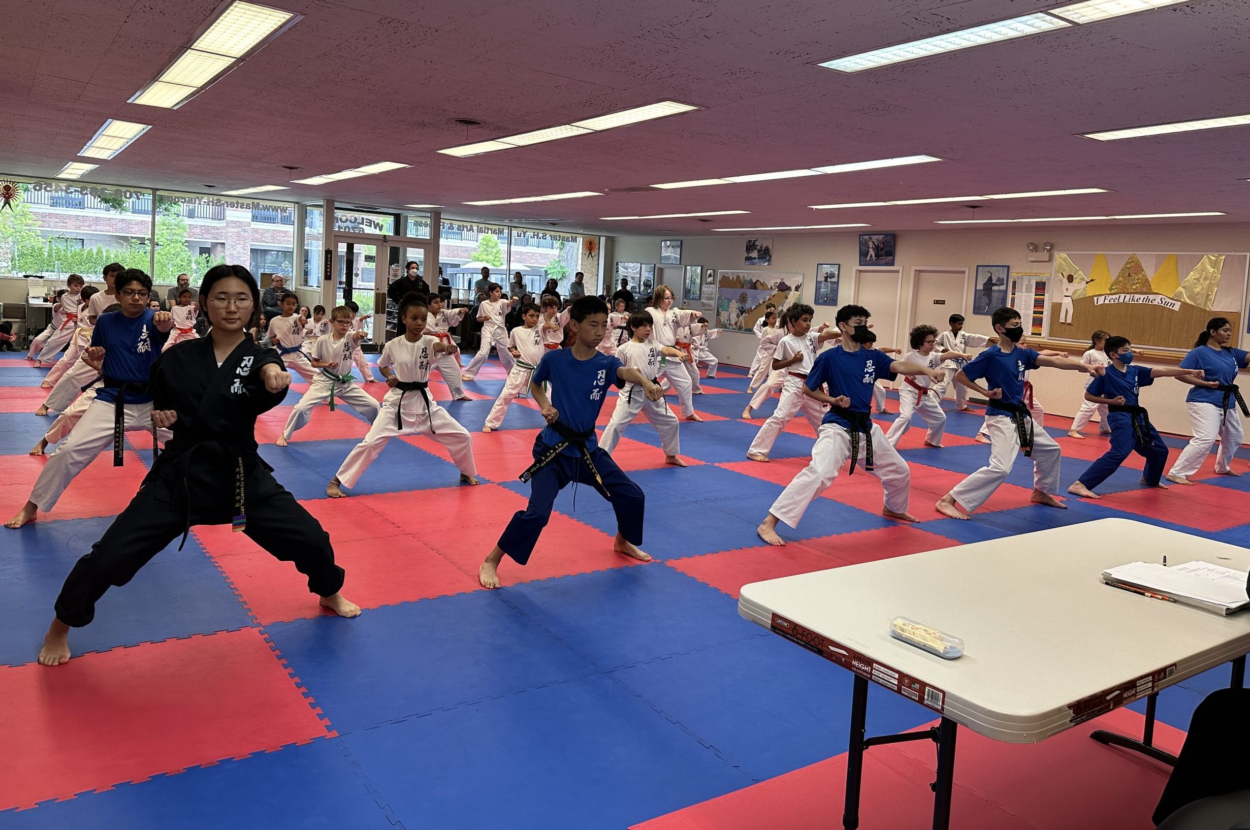 dövüş sanatları eğitimi, martial arts school, dövüş teknikleri, kişisel gelişim, spor eğitimleri,