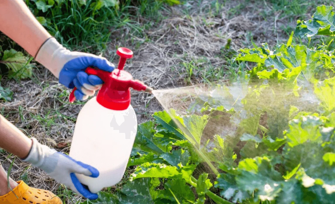 sucular, zararlı kontrol, doğal mücadele, tarım zararlıları, bahçe koruma, organik mücadele, zara