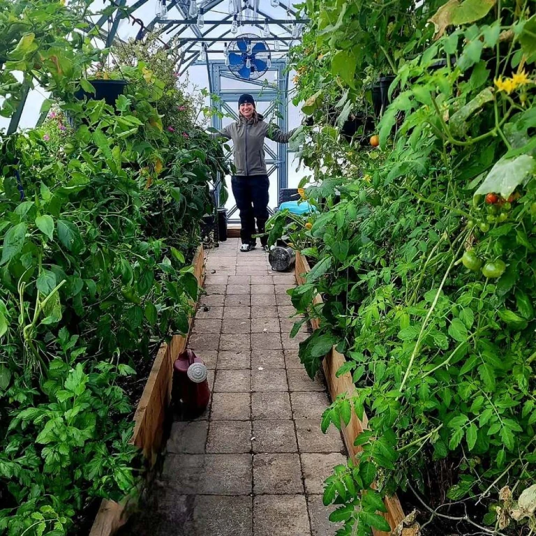 seralarda sıcaklık nem kontrolü, sera hava düzenleme, bitki bakımı, sera iklim sistemi, otomatik seralarda sıcaklık nem kontrolü, sera hava düzenleme, bitki bakımı, sera iklim sistemi, otomatik