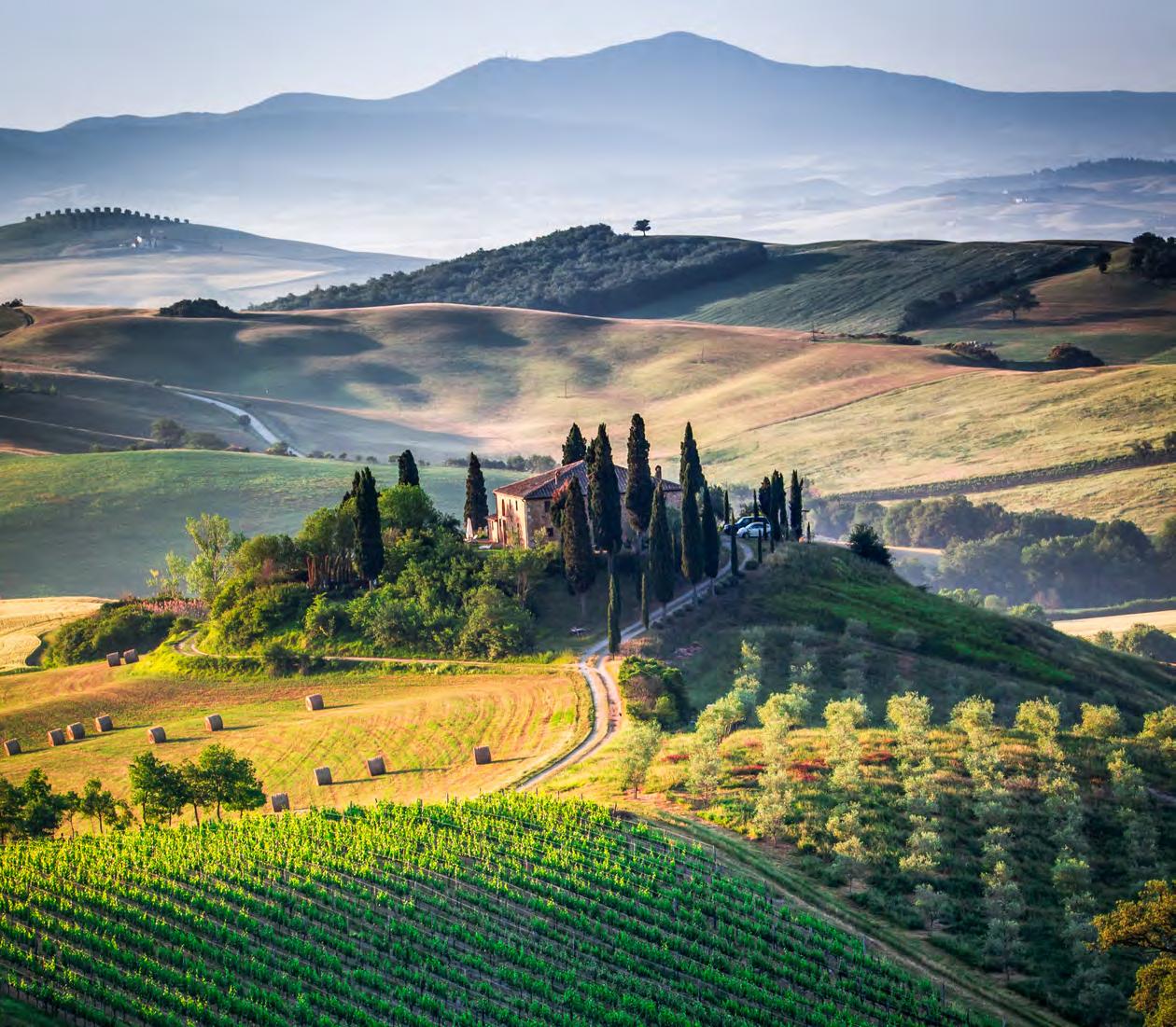 Konya peyzaj hizmetleri, bahçe düzenleme, peyzaj bakım, peyzaj tasarımı, bahçe dekorasyonu, profe Konya peyzaj hizmetleri, bahçe düzenleme, peyzaj bakım, peyzaj tasarımı, bahçe dekorasyonu, profe