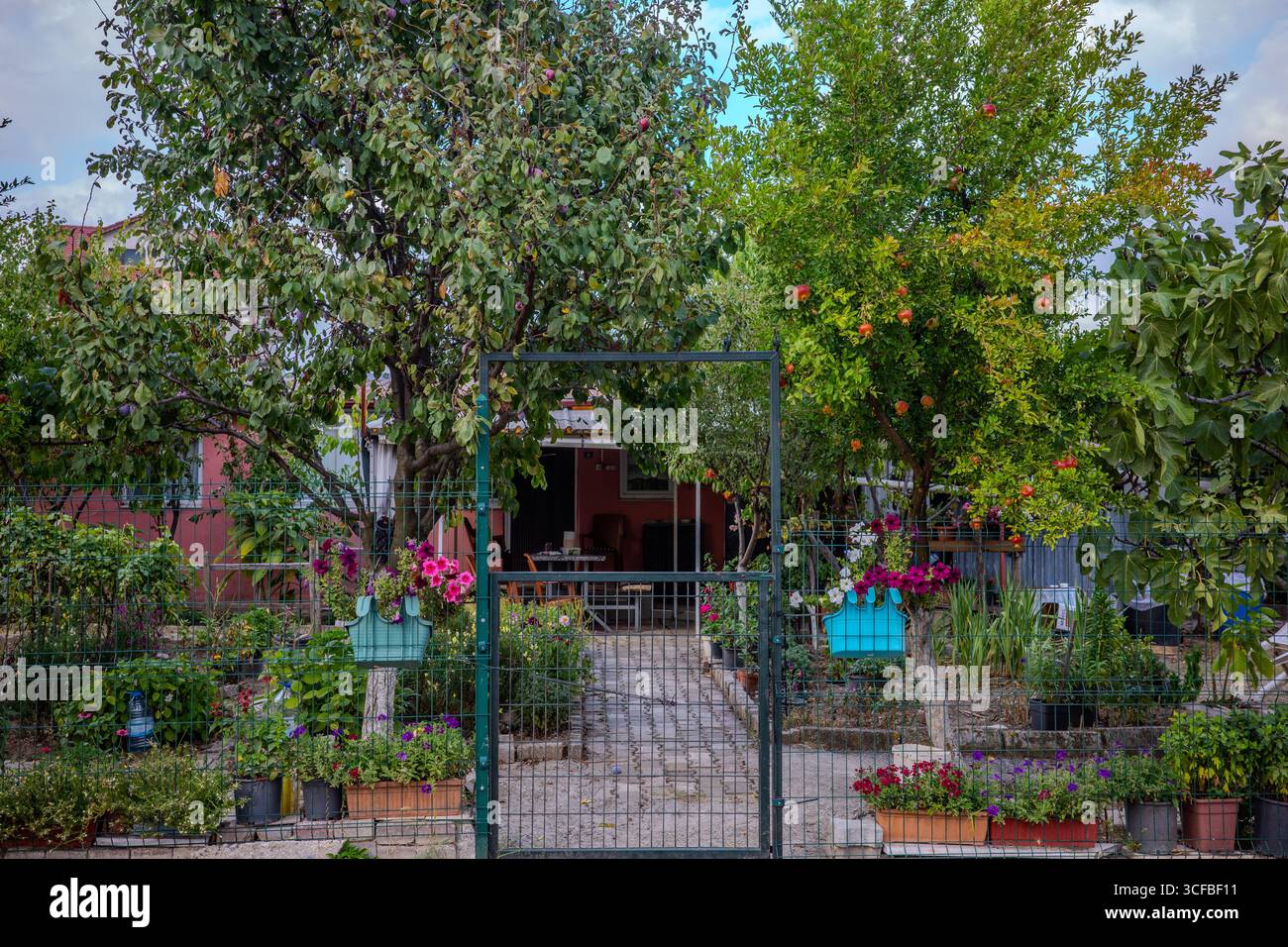 Kocaeli peyzaj, bahçe tasarımı, peyzaj mimarlığı, doğal peyzaj, peyzaj bakım hizmetleri,peyzaj,pe