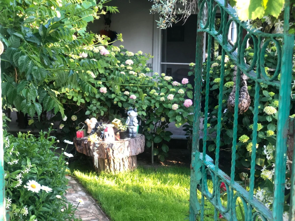 Peyzaj Tasarımı, Bahçe Bakımı, Tekirdağ Peyzaj, Çim Çalışması, Peyzaj Projeleri, Bahçe Dekorasyon Peyzaj Tasarımı, Bahçe Bakımı, Tekirdağ Peyzaj, Çim Çalışması, Peyzaj Projeleri, Bahçe Dekorasyon