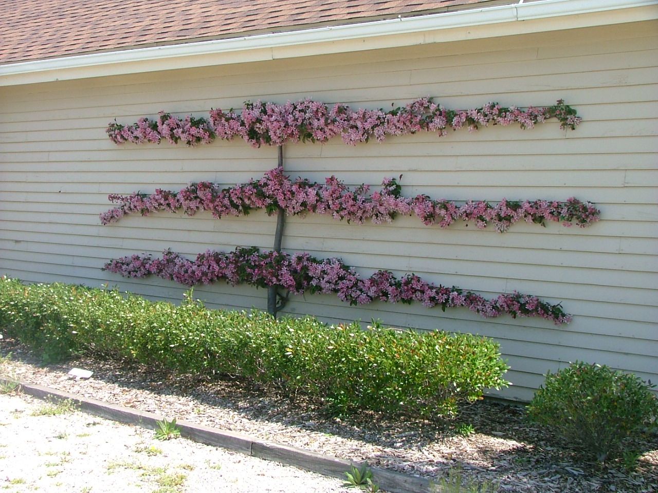 Yozgat peyzaj, bahçe düzenleme, peyzaj projeleri, peyzaj mimarisi, bahçe tasarımı, yeşil alan tas