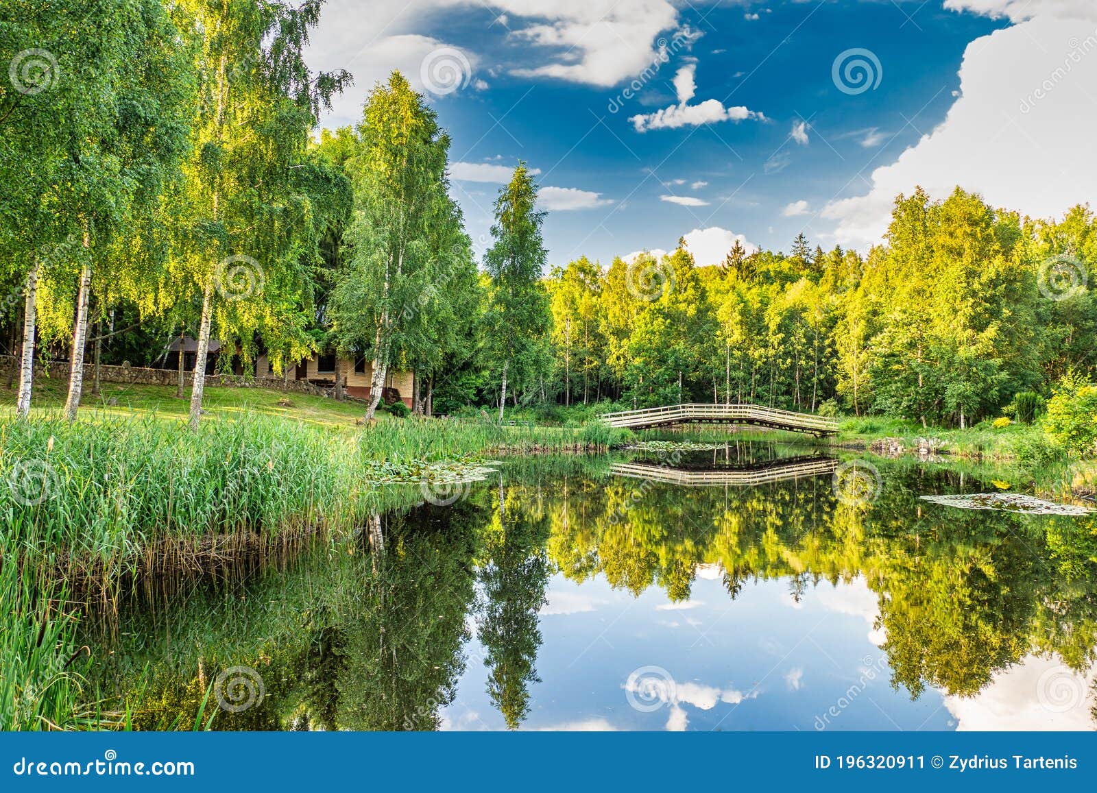 peyzaj hizmeti, bahçe düzenleme, Zonguldak peyzaj, dış mekan tasarımı, peyzaj mimarlığı,peyzaj,pe peyzaj hizmeti, bahçe düzenleme, Zonguldak peyzaj, dış mekan tasarımı, peyzaj mimarlığı,peyzaj,pe