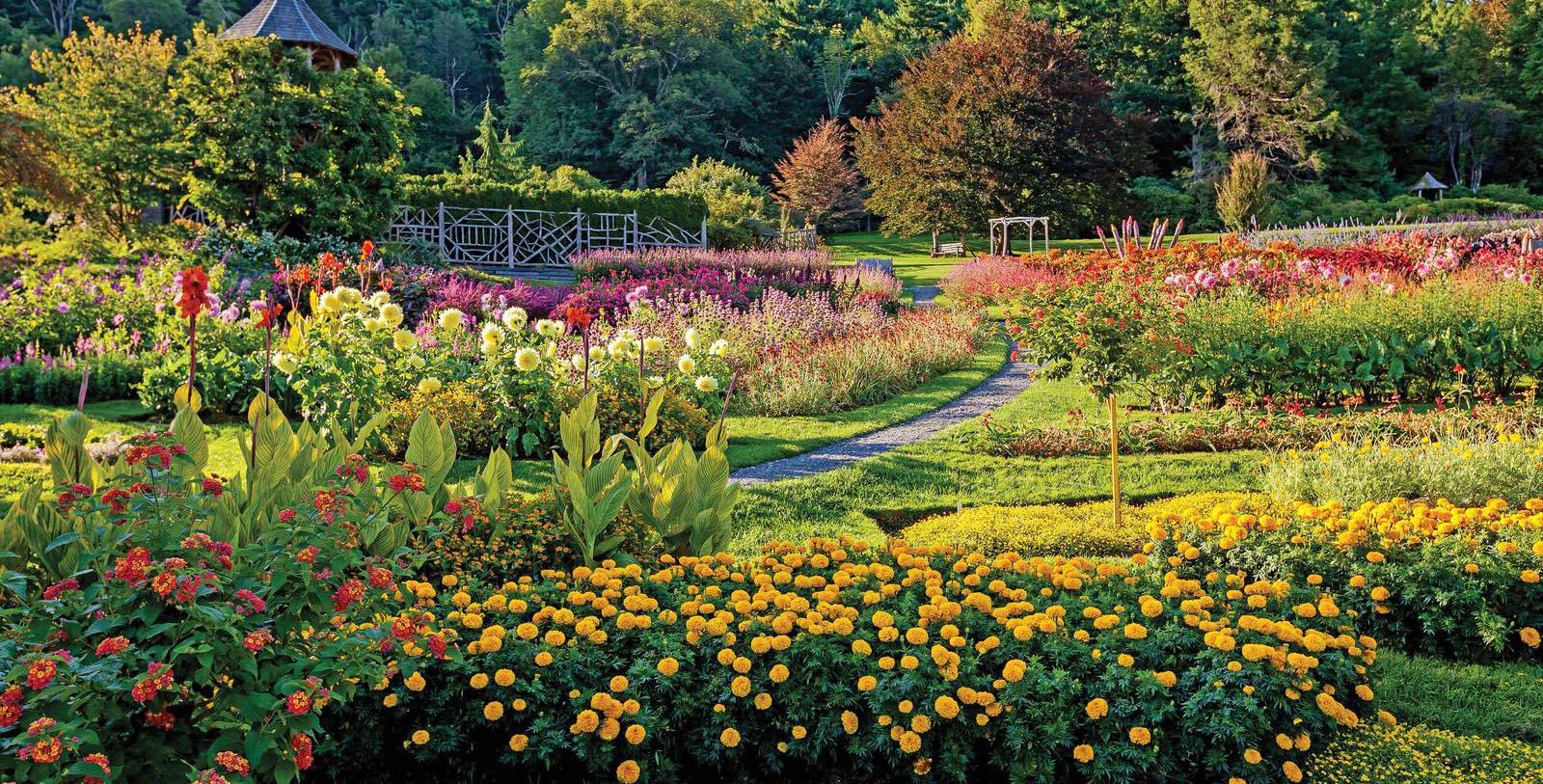 Bartın peyzaj, bahçe düzenleme, doğal peyzaj tasarımı, yeşil alan projeleri, peyzaj mimarlığı,pey