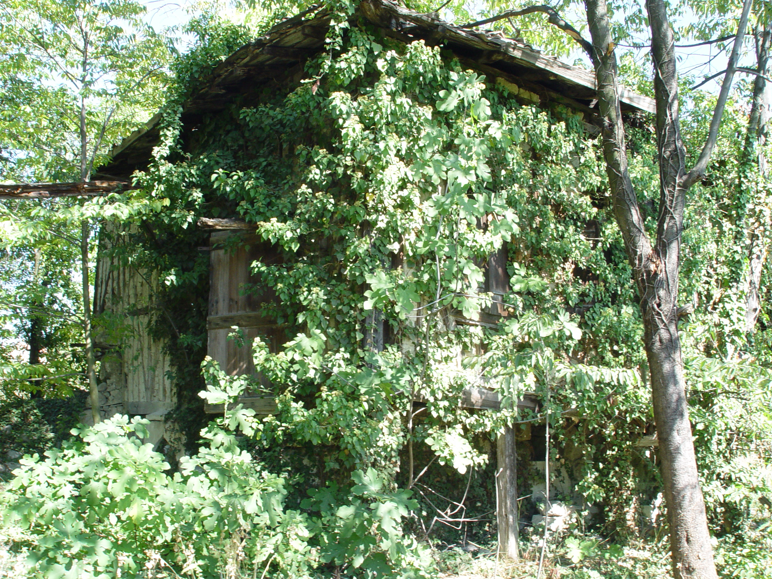Karabük peyzaj tasarımı, peyzaj bakım hizmetleri, bahçe düzenleme, doğal peyzaj, bahçe tasarımı, Karabük peyzaj tasarımı, peyzaj bakım hizmetleri, bahçe düzenleme, doğal peyzaj, bahçe tasarımı,