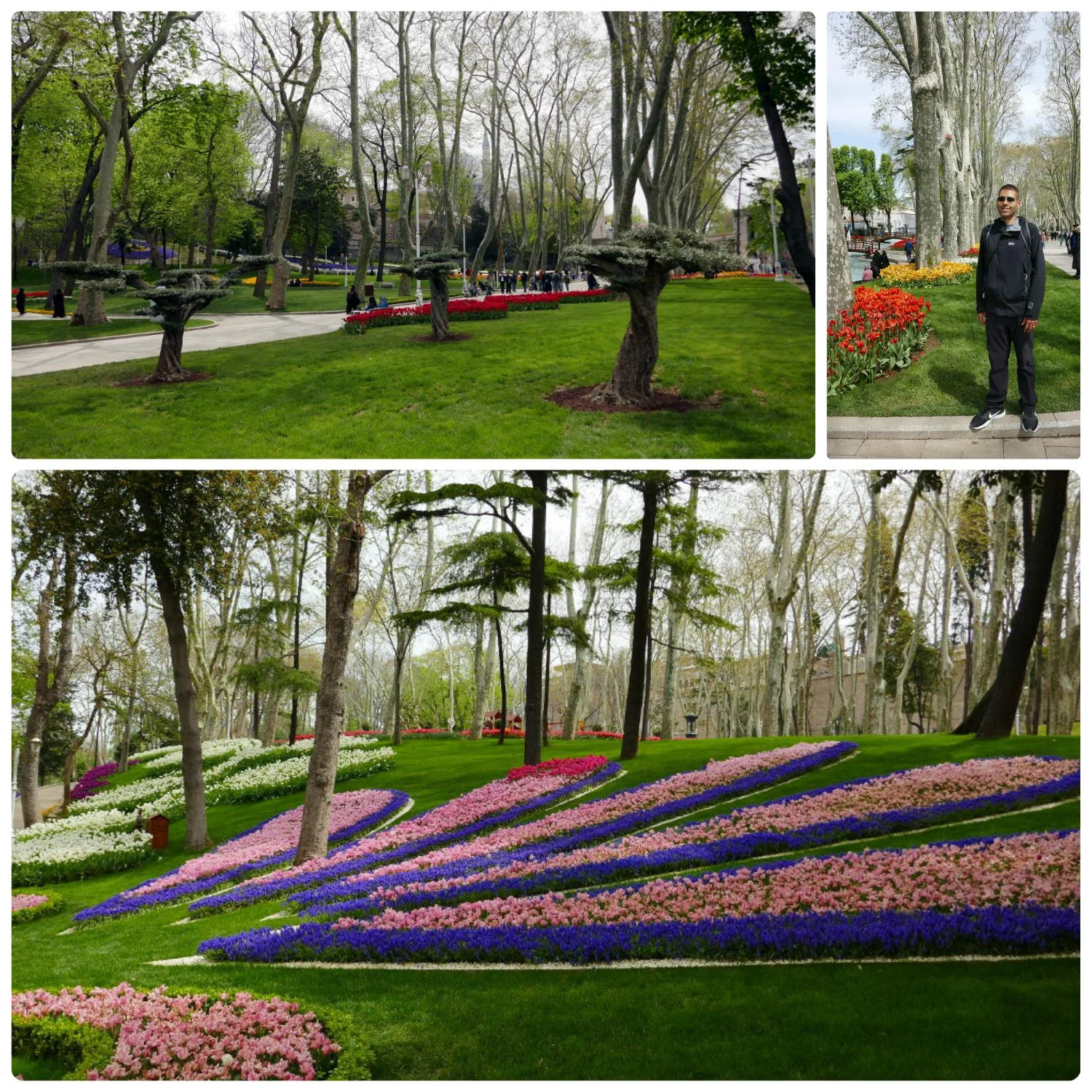 peyzaj hizmetleri, Osmaniye peyzaj, bahçe düzenleme, peyzaj mimarlığı, bahçe bakım hizmeti,peyzaj peyzaj hizmetleri, Osmaniye peyzaj, bahçe düzenleme, peyzaj mimarlığı, bahçe bakım hizmeti,peyzaj