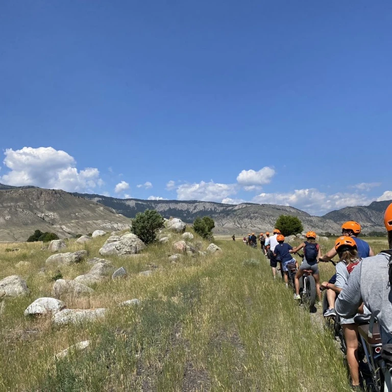 denizli çekici, oto kurtarma, acil çekici hizmetleri, araç kurtarma, 24 saat çekici,çekici,çekici denizli çekici, oto kurtarma, acil çekici hizmetleri, araç kurtarma, 24 saat çekici,çekici,çekici