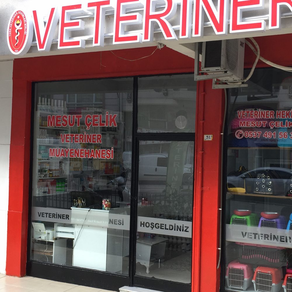 Bitlis oto kaporta, oto boya servisleri, güvenilir araç boyama, araç kaporta tamiri, yerel oto bo