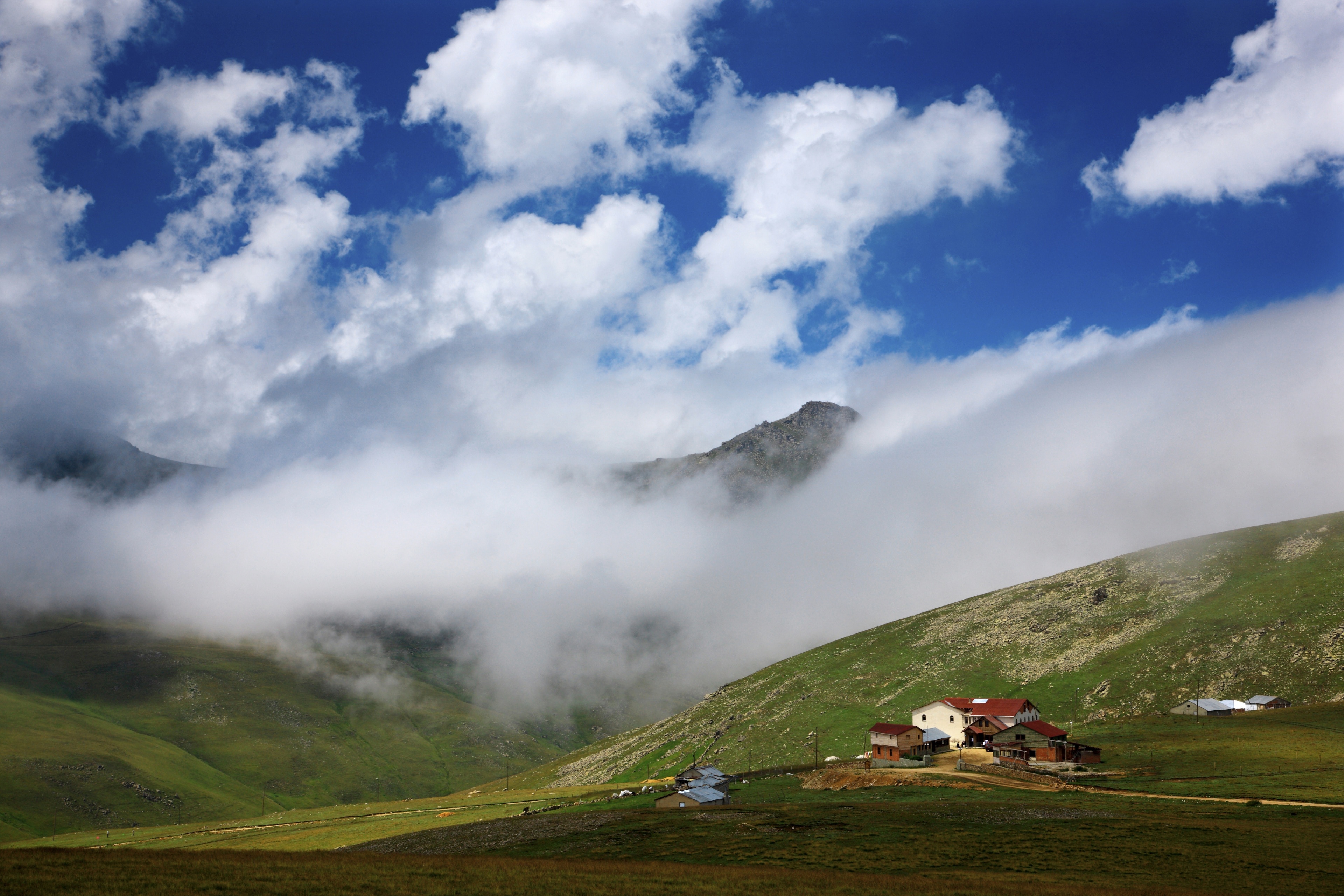 Gümüşhane araç kiralama, ekonomik araç kiralama, günlük araç kiralama, lüks araçlar Gümüşhane, uy