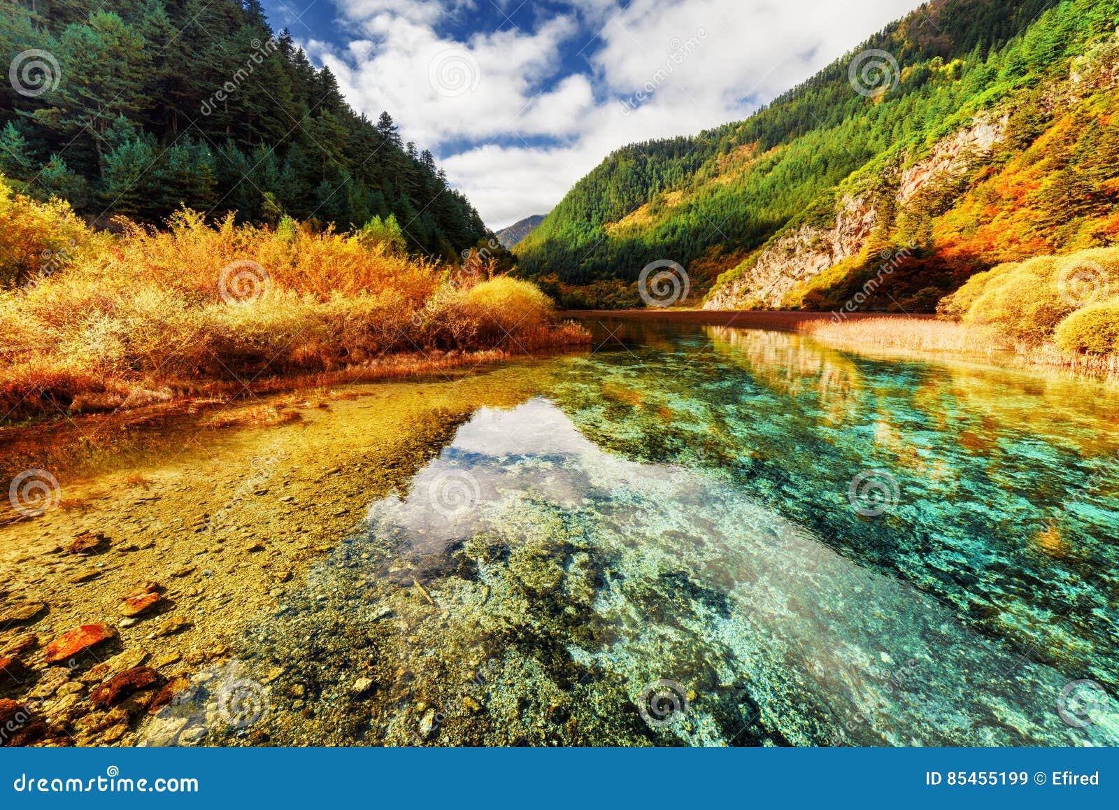 Rize fotoğrafçı, manzara fotoğrafçılığı, doğa fotoğrafçılığı, profesyonel fotoğraf hizmetleri, Ri