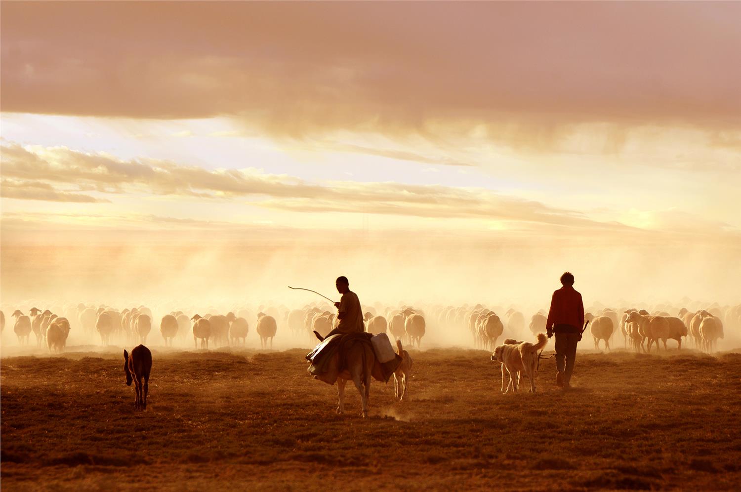 Tunceli fotoğrafçı, doğa fotoğrafçılığı, profesyonel fotoğraf hizmetleri, Tunceli çekim, doğal gü