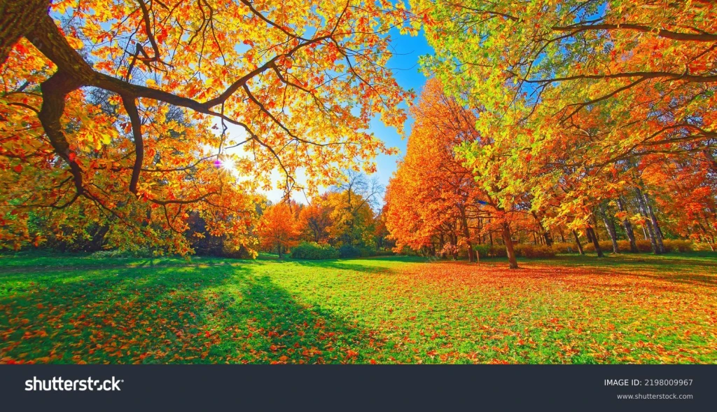 Bolu fotoğraf&ccedil;ı, profesyonel &ccedil;ekim, d&uuml;ğ&uuml;n fotoğraf&ccedil;ısı, portre fotosu, doğa fotoğraf&ccedil;ılığı, uygun