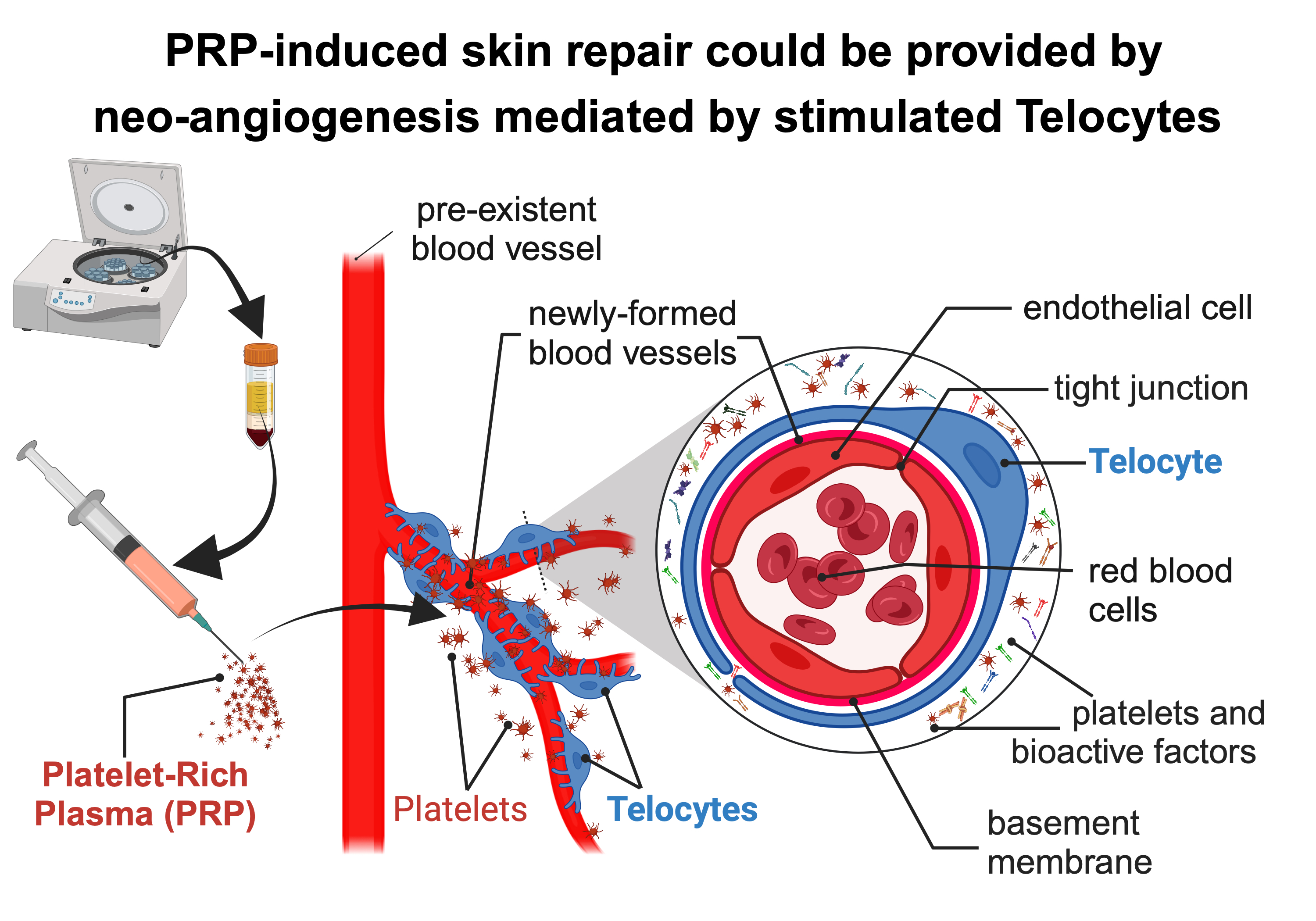 Bingöl oto akü satışı, akü değişimi, araç aküsü fiyatları, oto akü montaj, kaliteli oto akü,akü,a Bingöl oto akü satışı, akü değişimi, araç aküsü fiyatları, oto akü montaj, kaliteli oto akü,akü,a