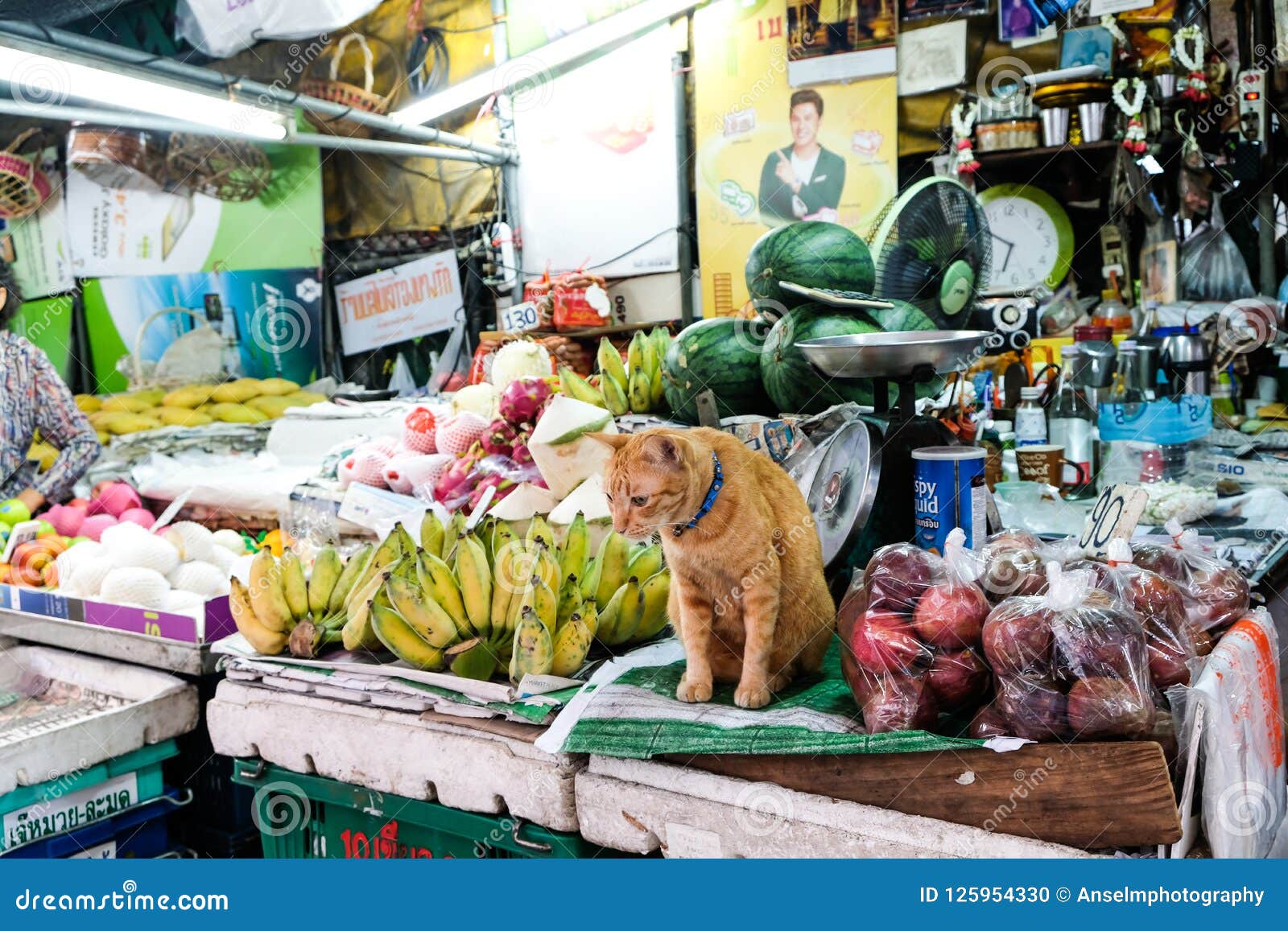 Erzurum toptan gıda, gıda toptancıları, Erzurum perakende gıda, taze gıda tedariki, büyük alım gı Erzurum toptan gıda, gıda toptancıları, Erzurum perakende gıda, taze gıda tedariki, büyük alım gı