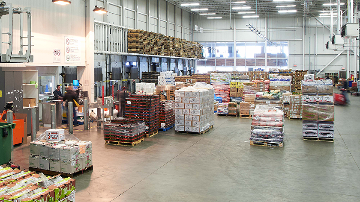 İstanbul toptan gıda, gıda tedarik zinciri, toptan gıda fiyatları, gıda tedarikçi, ekipman ve sto