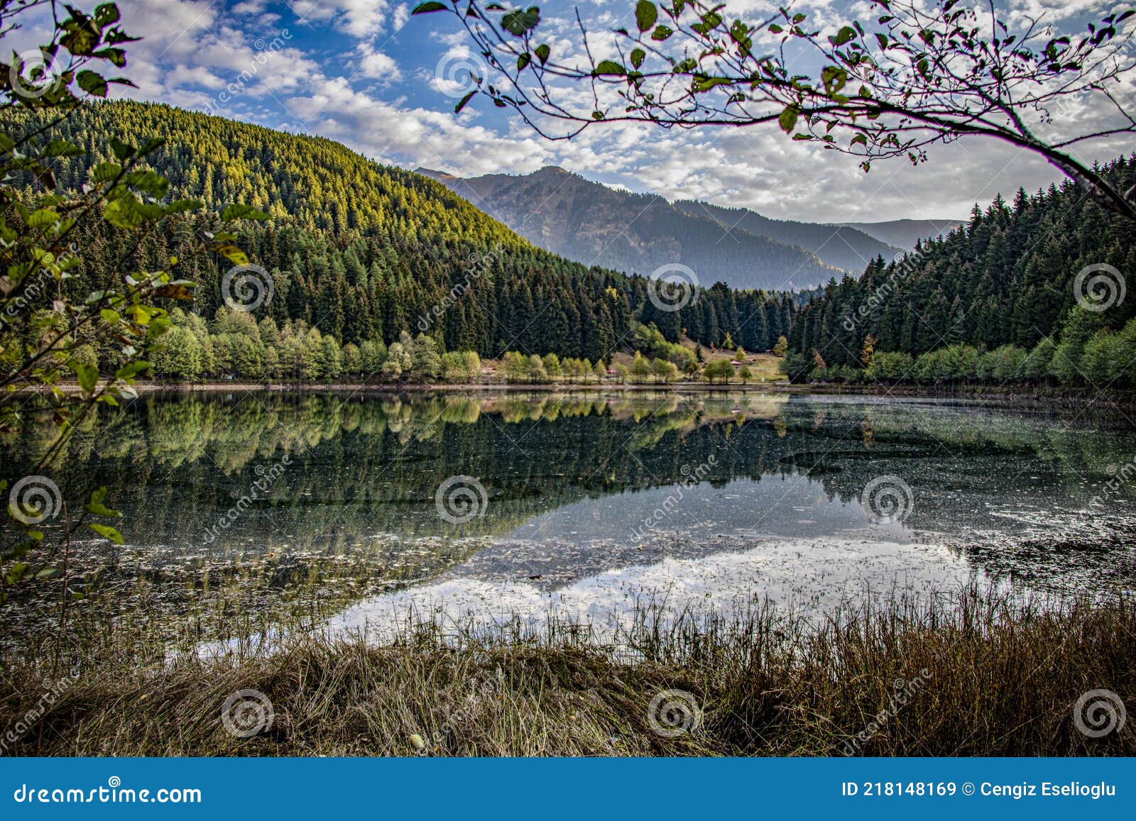 Artvin fotoğrafçı, doğa fotoğrafçılığı, düğün fotoğrafçısı, profesyonel fotoğraf hizmetleri, doğa