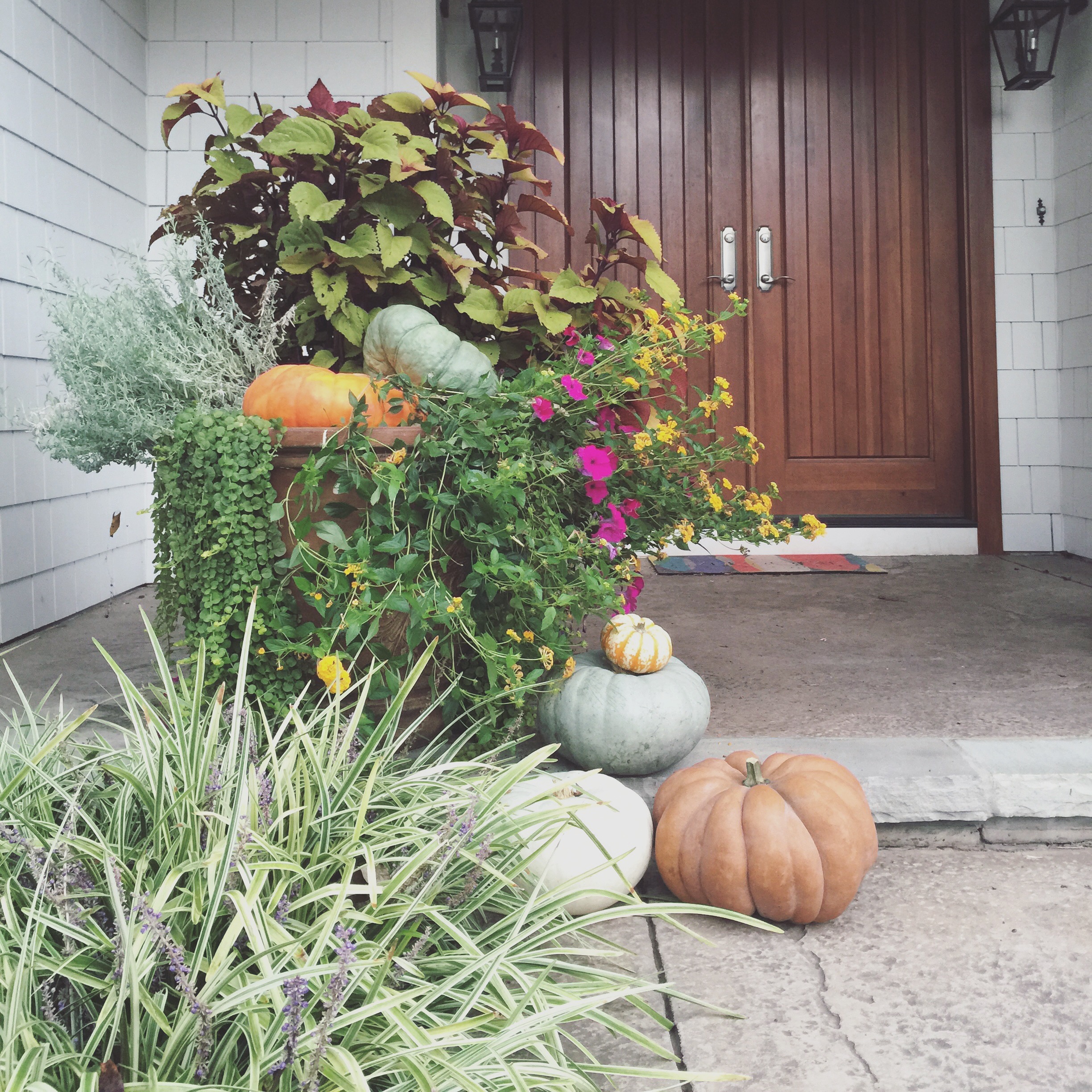 Diyarbakır eczaneleri, güvenilir eczane, ilaç temini, sağlık hizmetleri, hızlı ilaç siparişi, ecz Diyarbakır eczaneleri, güvenilir eczane, ilaç temini, sağlık hizmetleri, hızlı ilaç siparişi, ecz