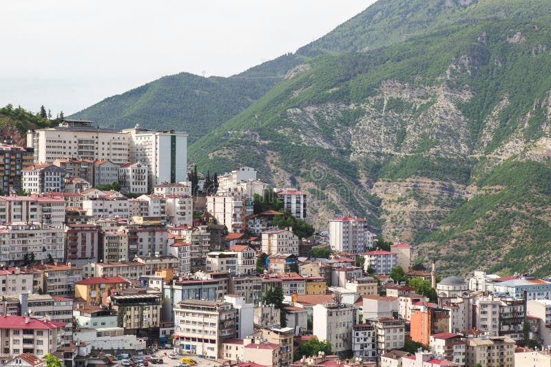 Artvin emlak, gayrimenkul danışmanı, ev alım satım, Artvin kiralık daire, emlak pazarlama, yatırı