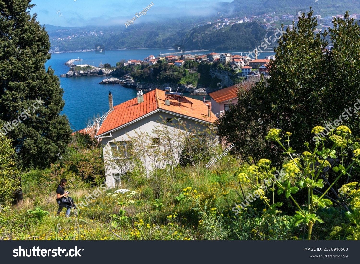 Bartın emlak, gayrimenkul yatırımı, konut fiyatları, emlak piyasası, kiralık ve satılık evler,eml Bartın emlak, gayrimenkul yatırımı, konut fiyatları, emlak piyasası, kiralık ve satılık evler,eml