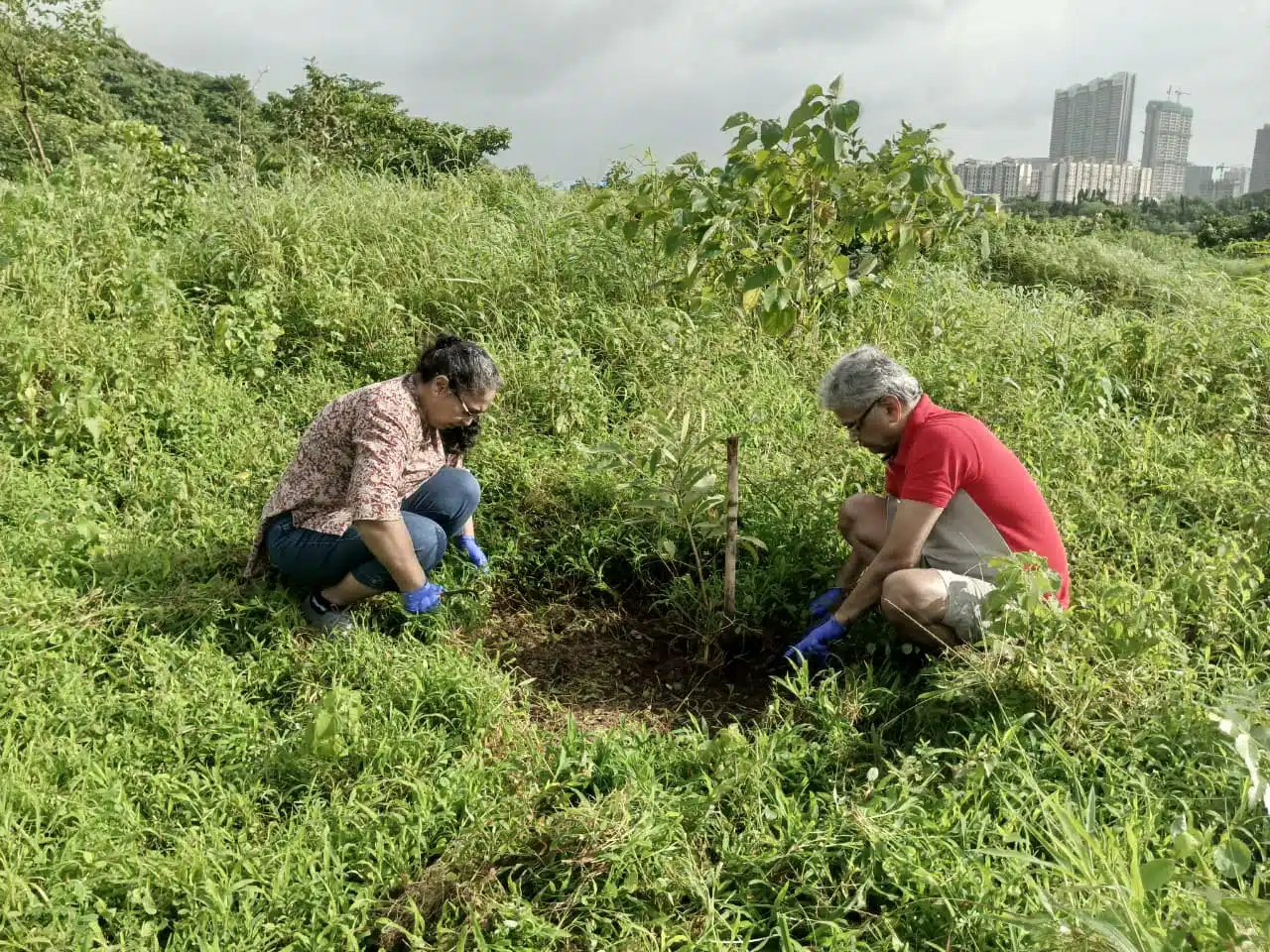 Niğde temizlik hizmetleri, profesyonel temizlik şirketi, Niğde temizlik firmaları, ofis temizliği