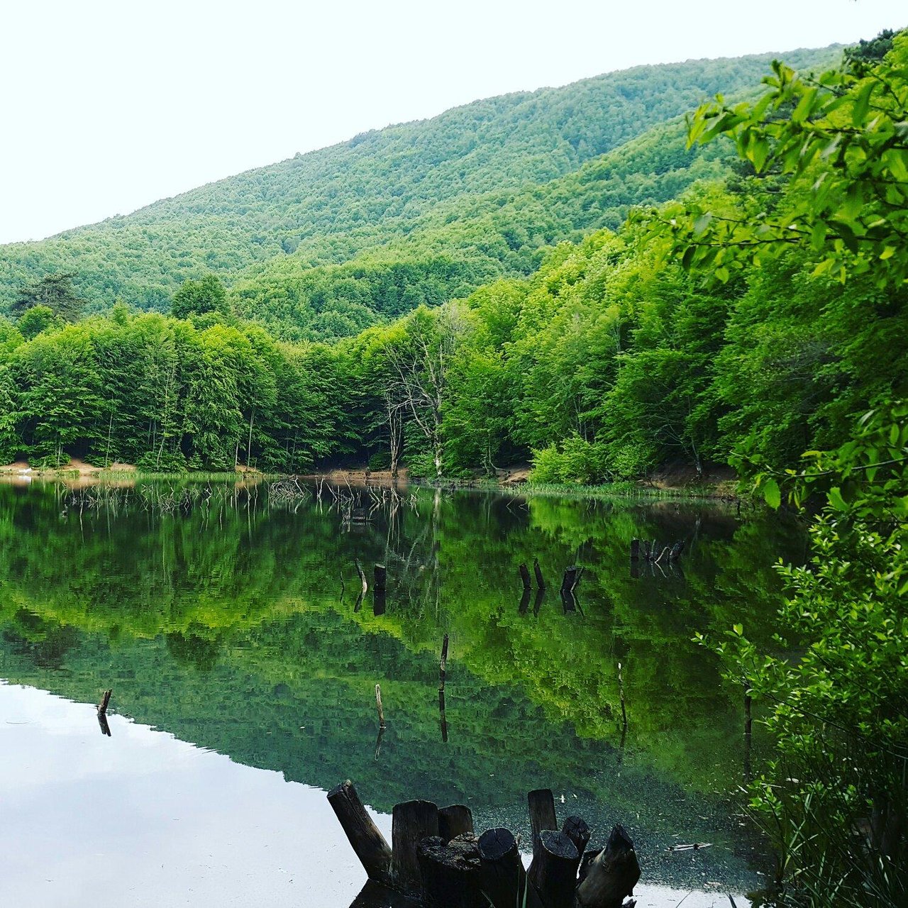 Yalova kahvaltı mekanları, Yalova en iyi kahvaltı, açık havada kahvaltı, kahvaltı önerileri Yalov