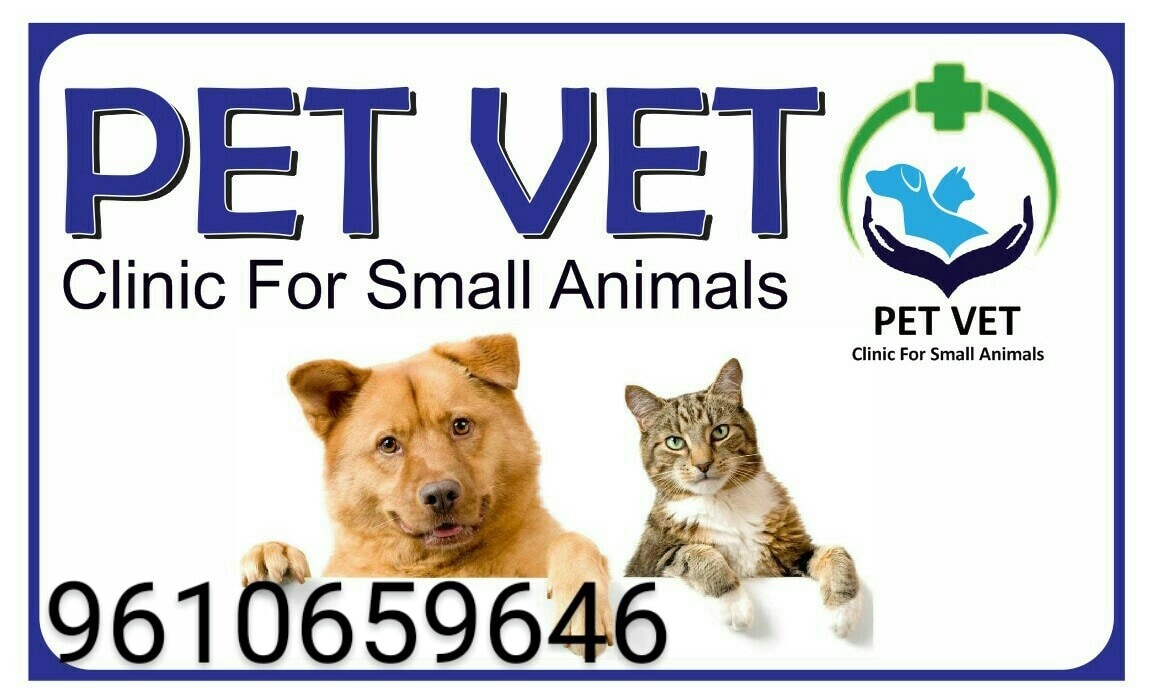 Adana veteriner, hayvan sağlığı, pet klinikleri, hayvan tedavisi, veteriner uzmanı, evcil hayvan