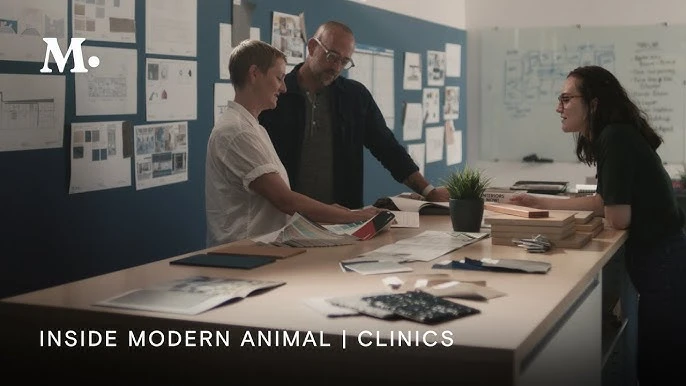 Artvin veteriner klinikleri, hayvan sağlığı, pet bakım, veteriner hizmetleri, hayvan sağlık merke Artvin veteriner klinikleri, hayvan sağlığı, pet bakım, veteriner hizmetleri, hayvan sağlık merke