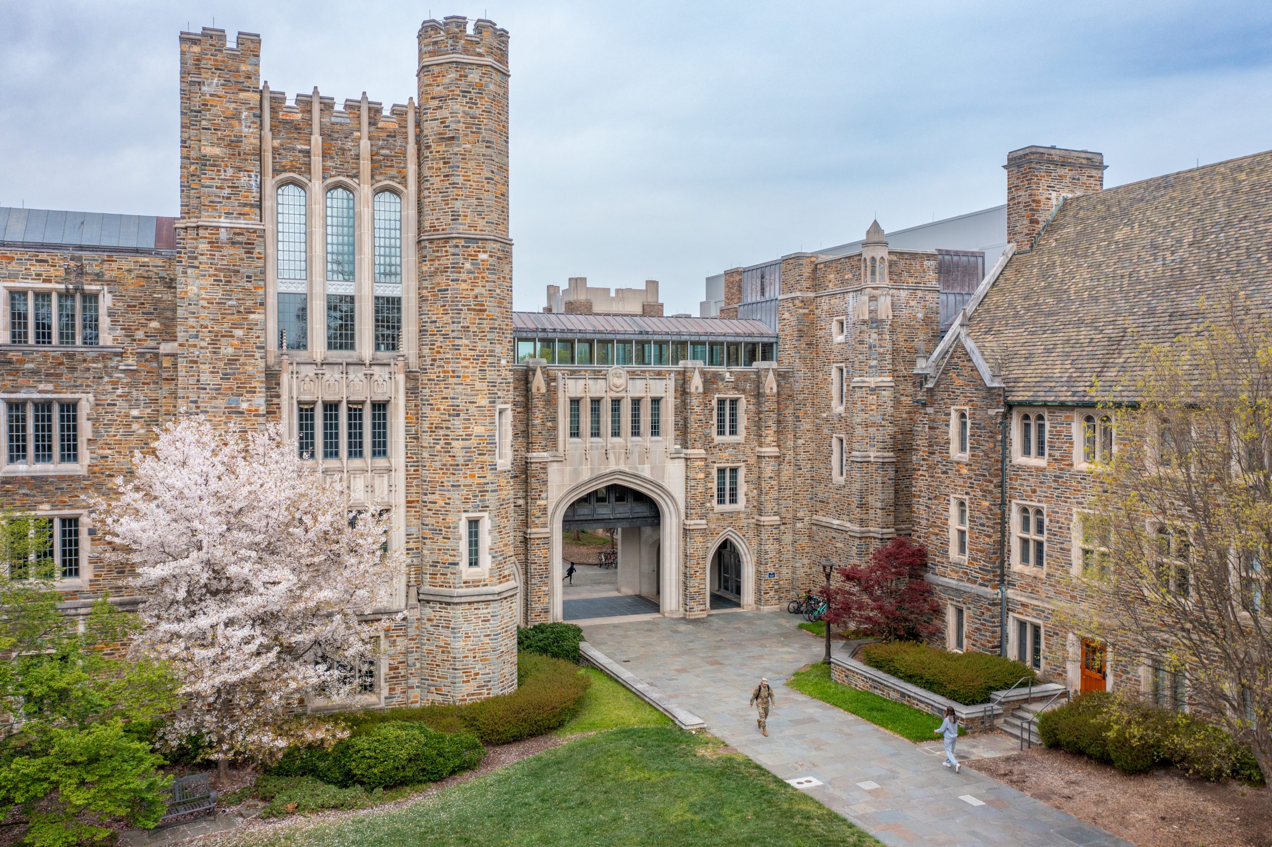 evcil hayvan bakımı, veteriner hizmetleri, Giresun veteriner klinikleri, hayvan sağlığı, köpek ve