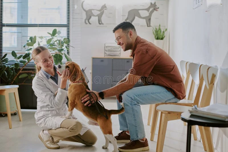 Kayseri veteriner, hayvan sağlığı, aşı takvimi, pet bakımı, veteriner muayenesi,veteriner,veterin Kayseri veteriner, hayvan sağlığı, aşı takvimi, pet bakımı, veteriner muayenesi,veteriner,veterin