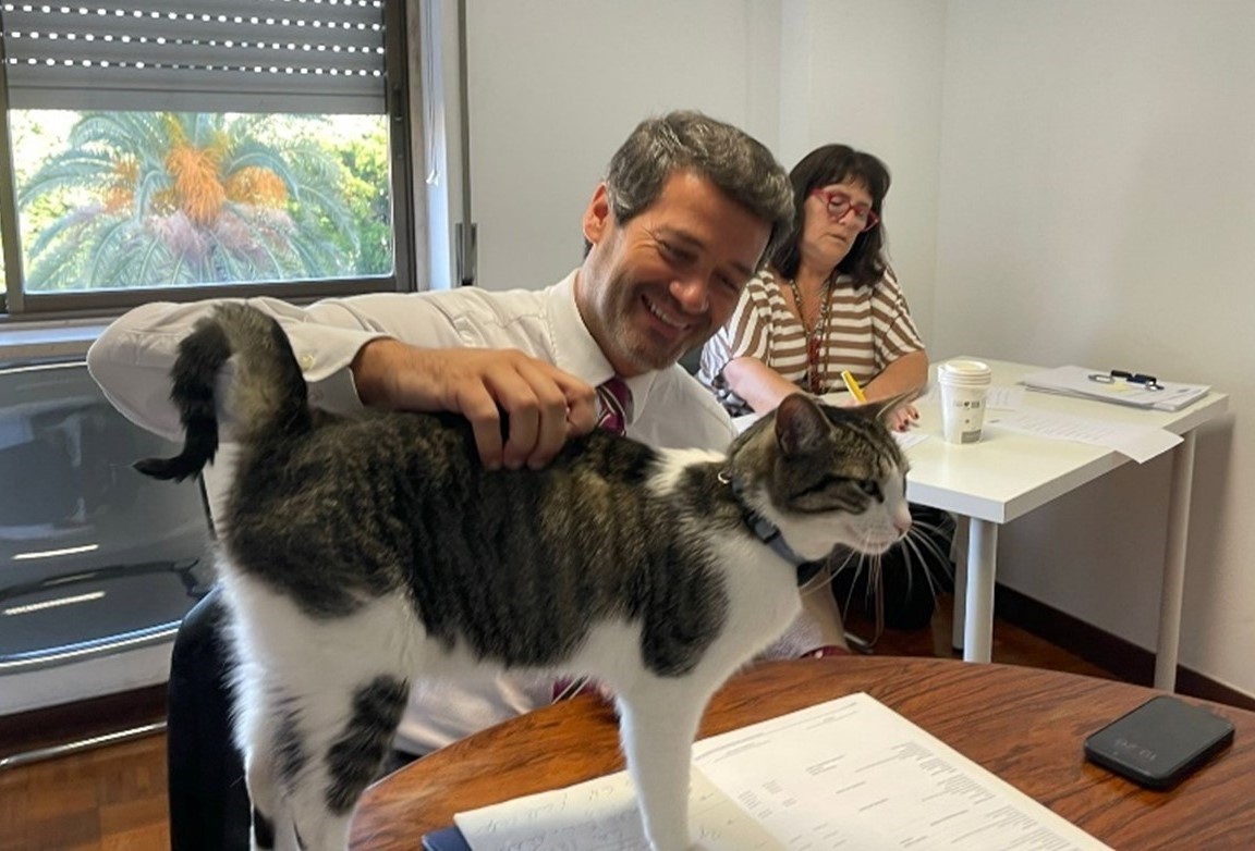 Mardin veteriner, hayvan sağlığı, evcil hayvan bakımı, veteriner klinikleri Mardin, uzman veterin