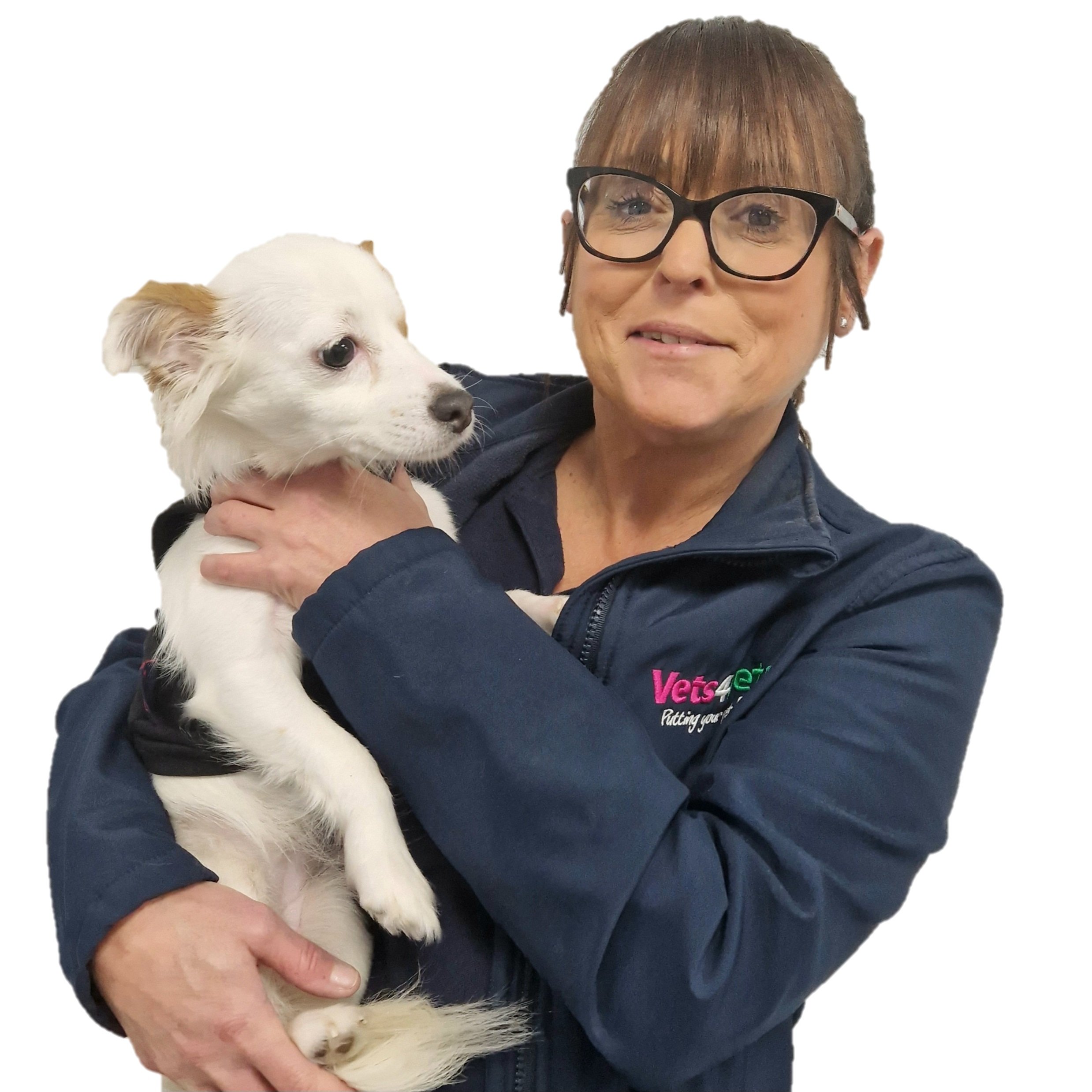 Tekirdağ veteriner aşı, hayvan sağlığı, güvenli aşı uygulaması, pet aşılama, veteriner klinik hiz