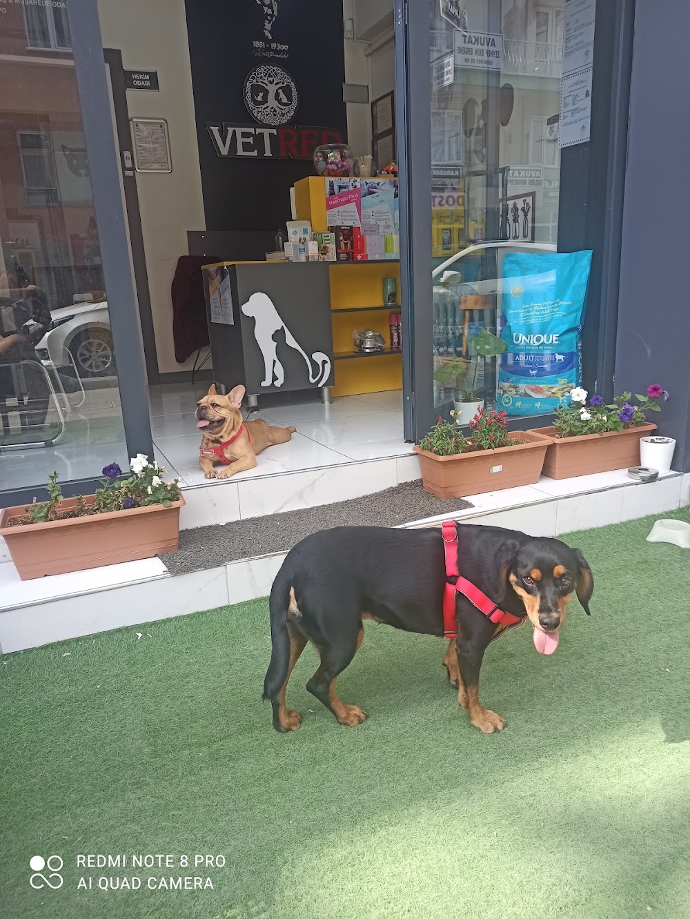 Trabzon veteriner, hayvan sağlığı, pet kliniği, veteriner hizmetleri, hayvan bakımı, acil veterin