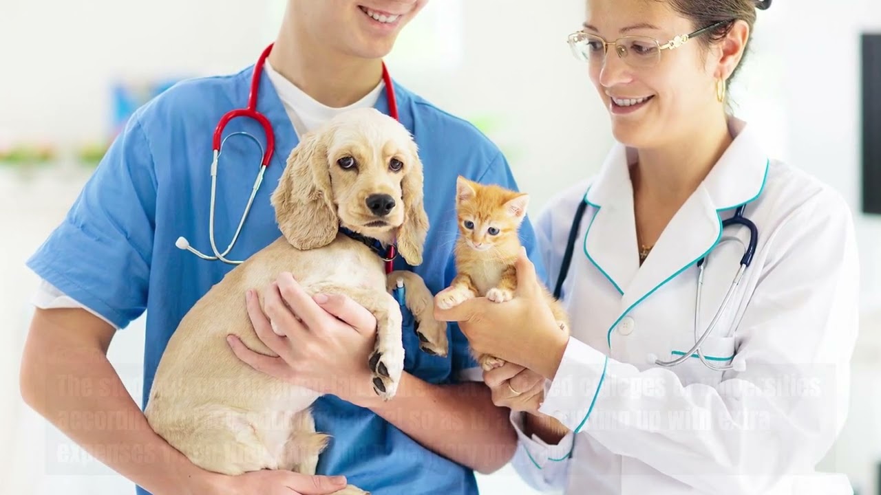 Şanlıurfa veteriner, hayvan sağlığı, veteriner kliniği, evcil hayvan bakımı, uzman veteriner, pet