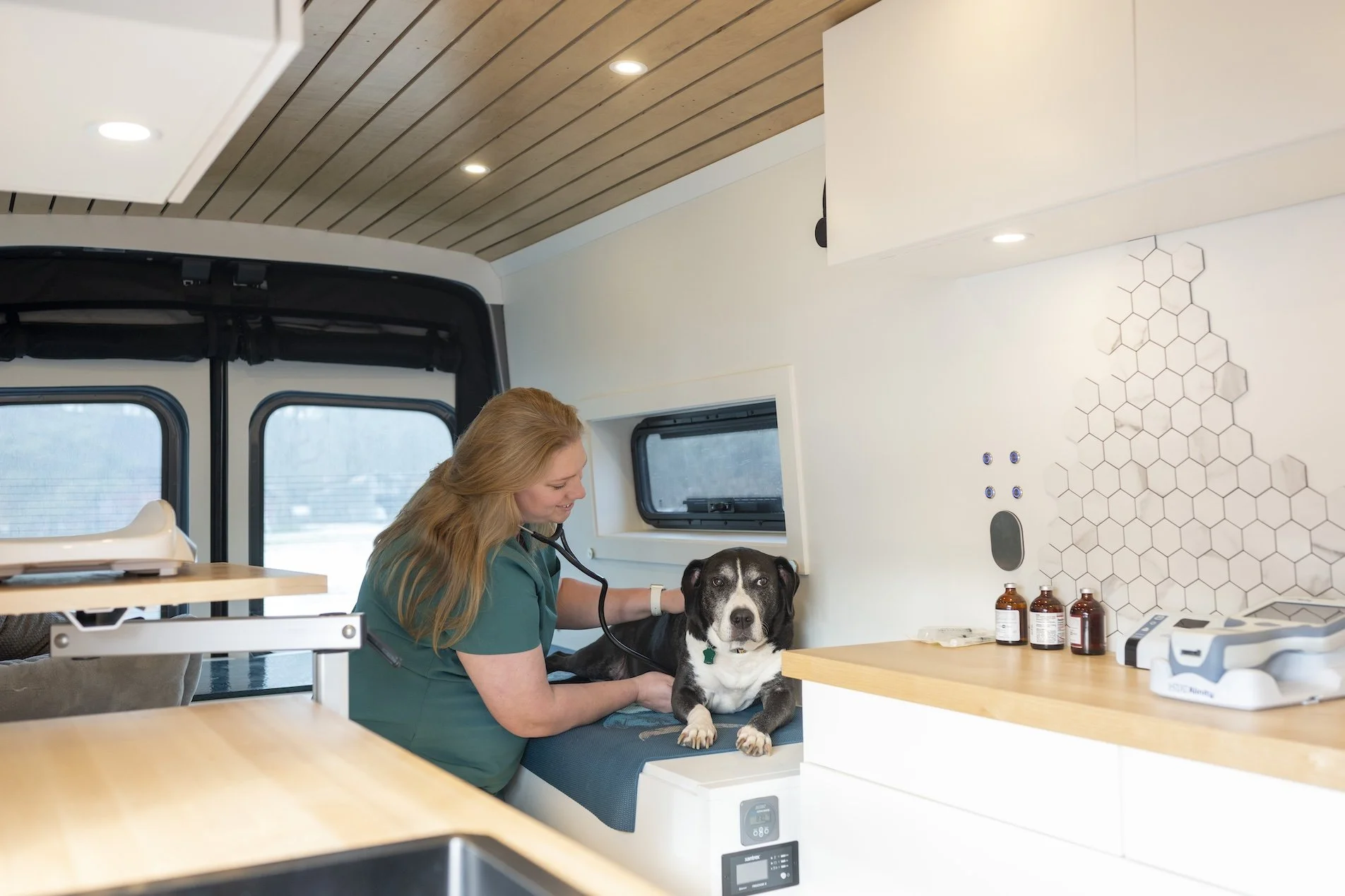 Van veteriner, acil veteriner hizmetleri, hayvan sağlığı, veteriner uzmanı, acil veteriner kliniğ