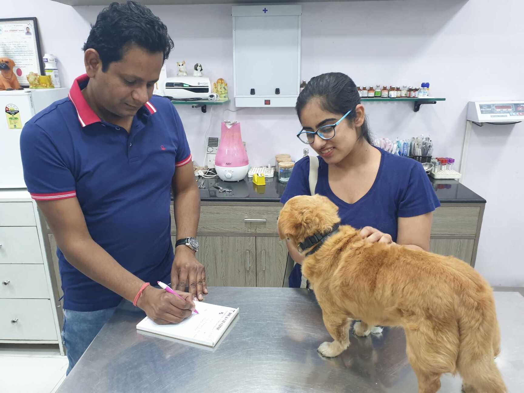 Uşak veteriner, hayvan sağlığı, veteriner klinik hizmetleri, köpek bakımı, kedi muayenesi, evcil