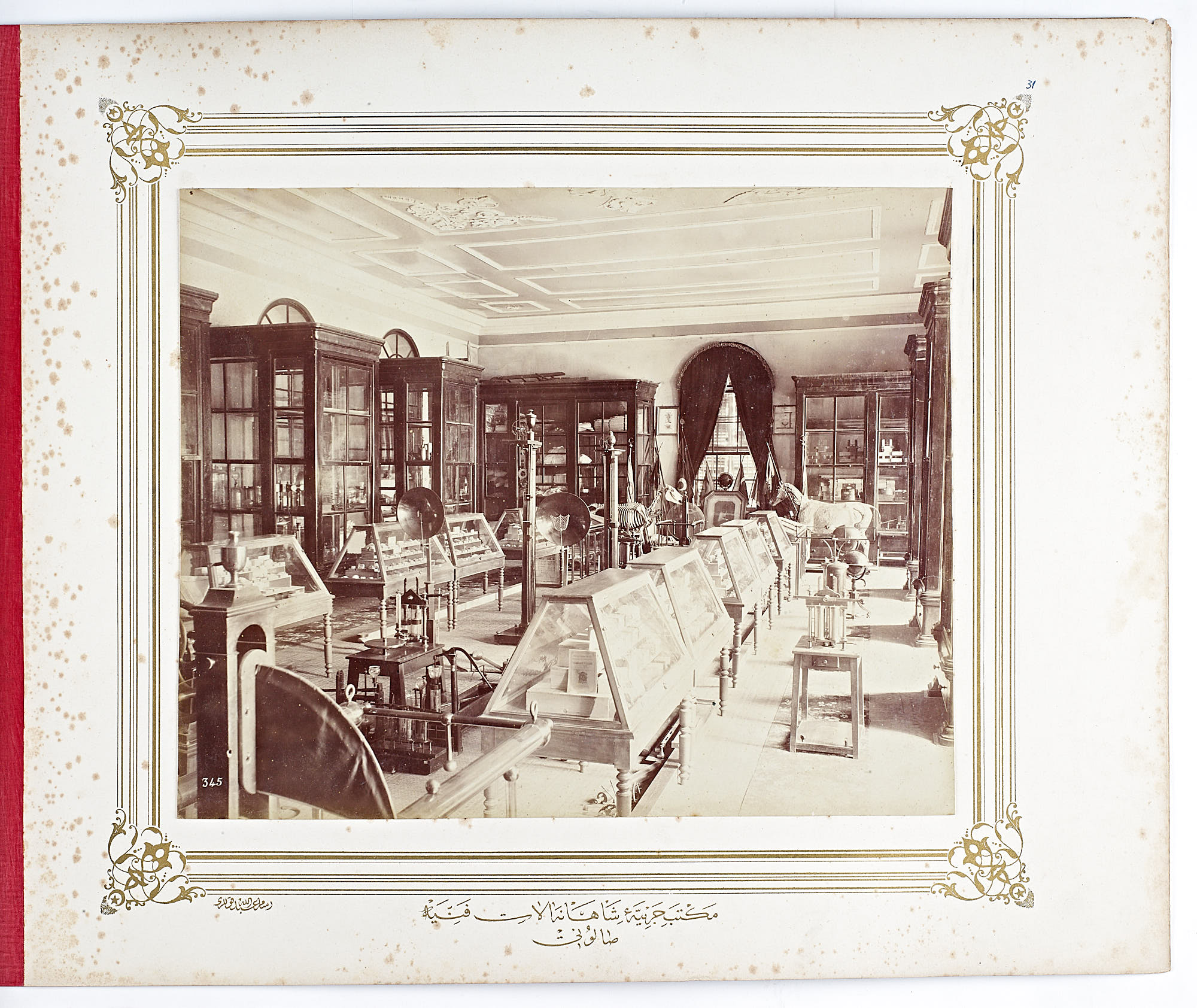 Veteriner, Osmaniye, hayvan sağlığı, veteriner hizmetleri, evcil hayvan bakımı, hayvan tedavisi,