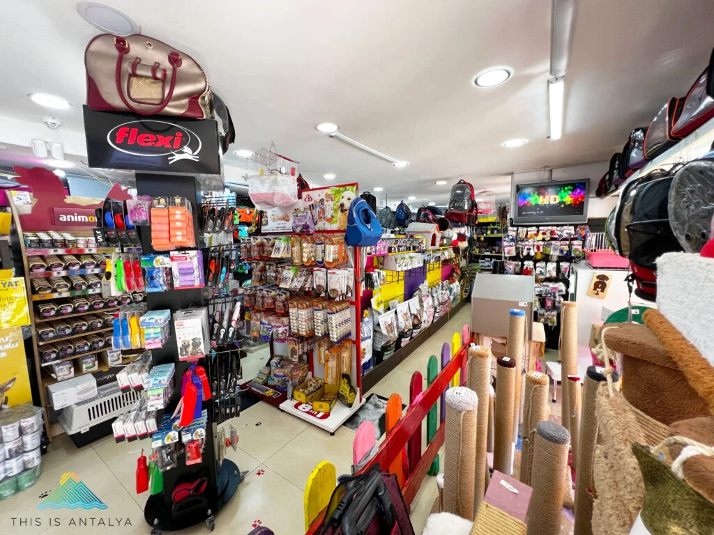Antalya pet shop, güvenilir mama, evcil hayvan maması, pet shop tavsiyeleri, kaliteli pet mamalar Antalya pet shop, güvenilir mama, evcil hayvan maması, pet shop tavsiyeleri, kaliteli pet mamalar