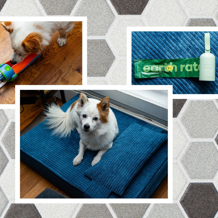 Artvin Pet Shop, g&uuml;venilir pet &uuml;r&uuml;nleri, sağlıklı kedi ve k&ouml;pek mamaları, kaliteli pet aksesuarla