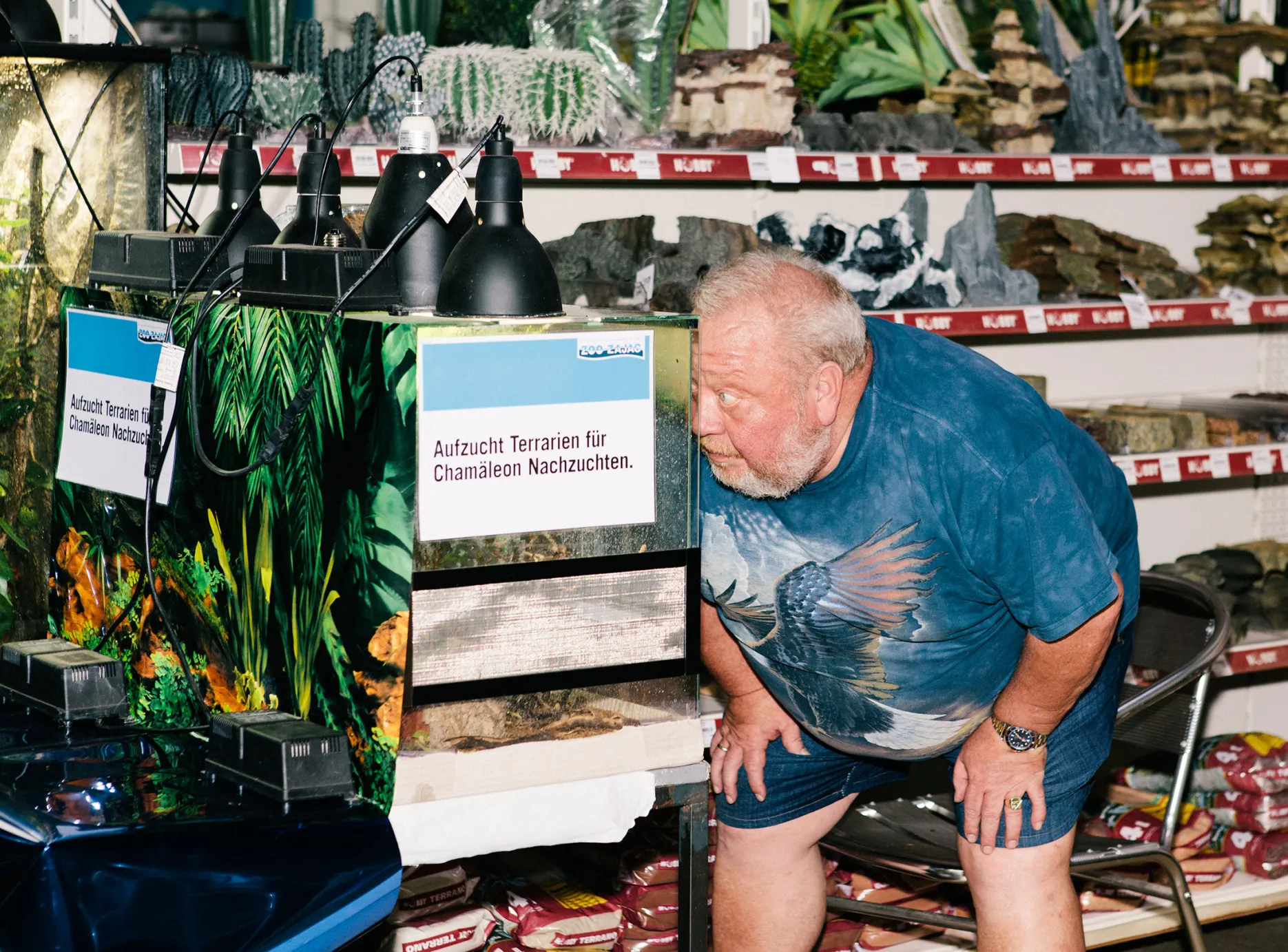 Çorum pet shop, evcil hayvan ürünleri, köpek maması, kedi kumu, hayvan bakımı, pet alışverişi, ev Çorum pet shop, evcil hayvan ürünleri, köpek maması, kedi kumu, hayvan bakımı, pet alışverişi, ev