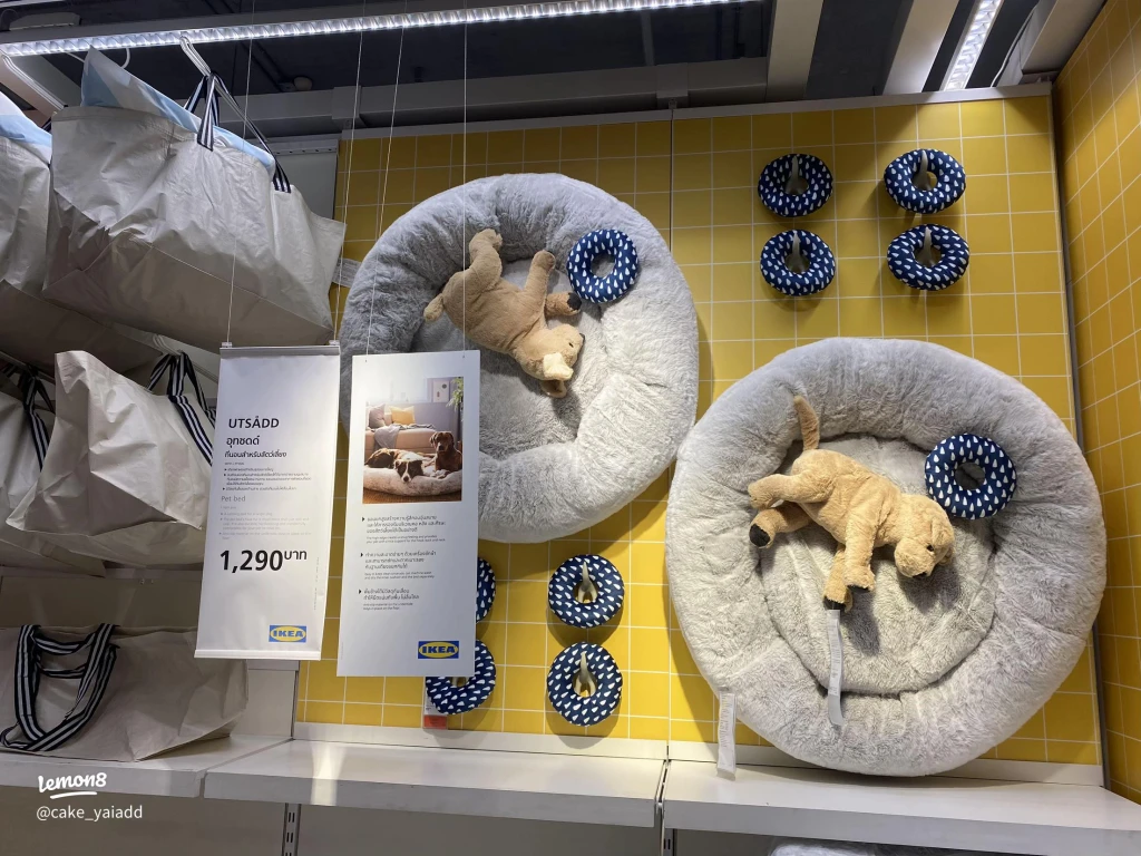 İzmir pet shop, sağlıklı pet ürünleri, evcil hayvan malzemeleri, güvenilir pet shop, İzmir hayvan