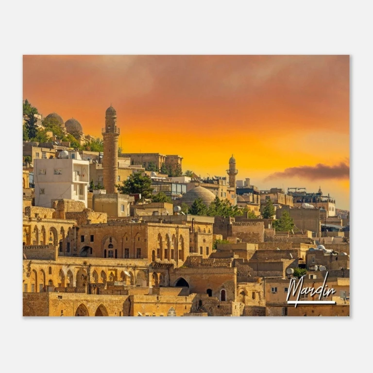 Mardin pet shop, evcil hayvan &uuml;r&uuml;nleri, k&ouml;pek maması, kedi kumu, pet aksesuarları, g&uuml;venilir pet